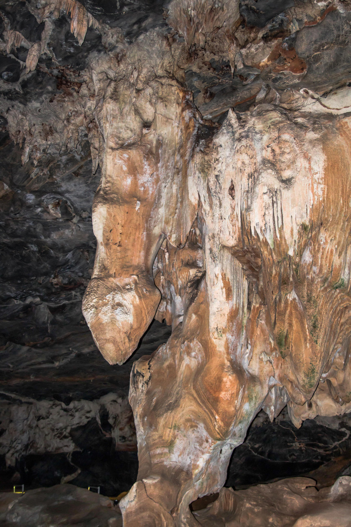 Cango Caves (2)