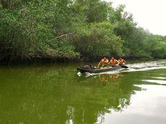 Cangrejeros