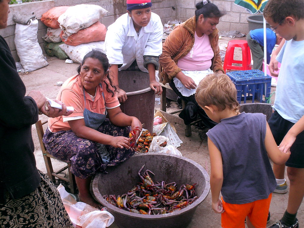 Cangrejos