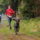 Canicross mit Mirjam Platzbecker und Deutsch Drahthaar Gösta