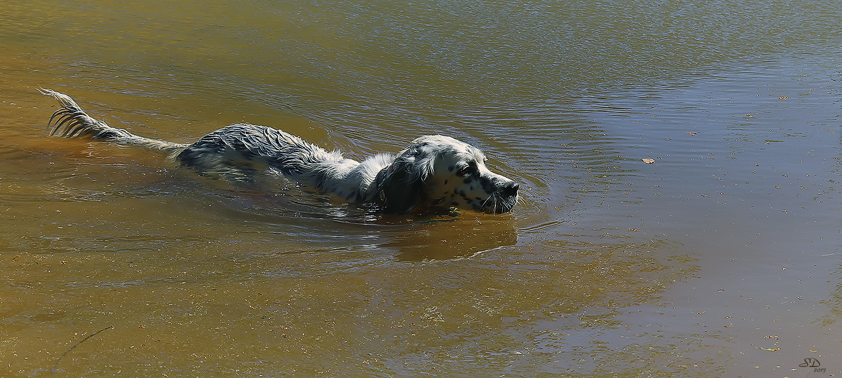 Canicule (1)