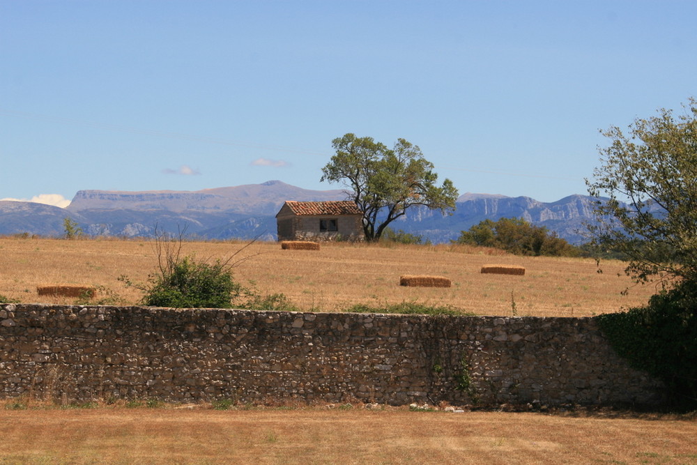 Canicule