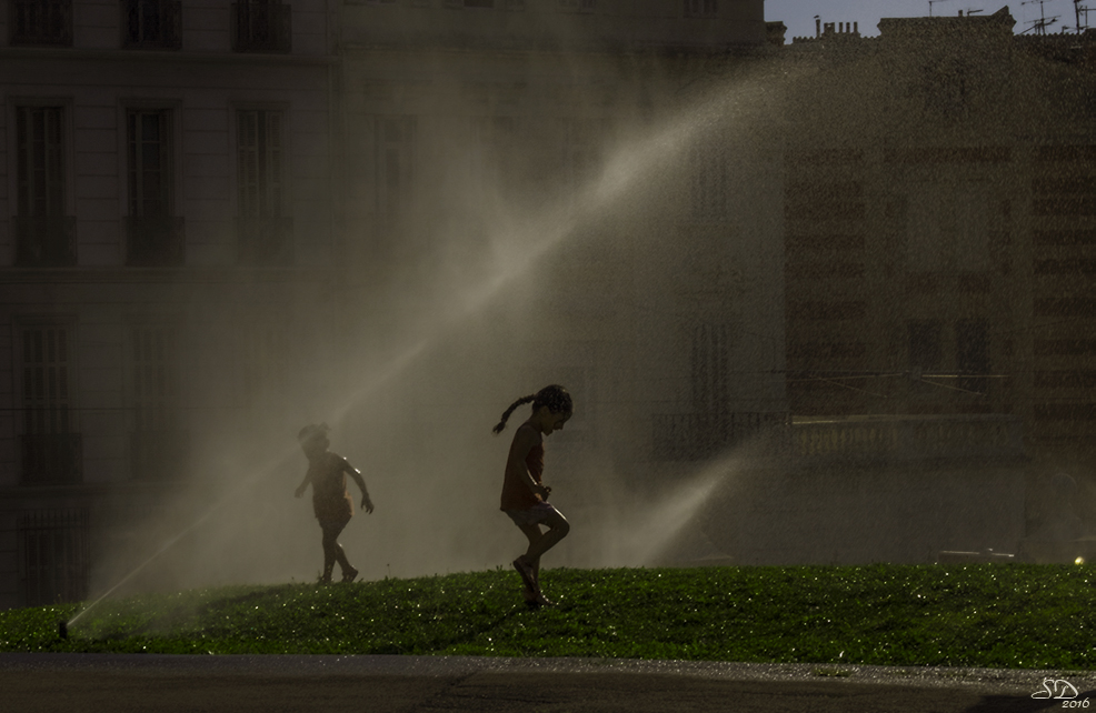 Canicule en Août