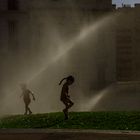 Canicule en Août