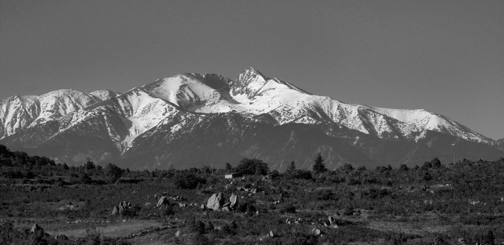 Canigou 2010