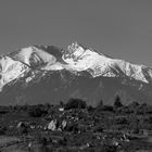 Canigou 2010