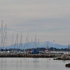 canigou