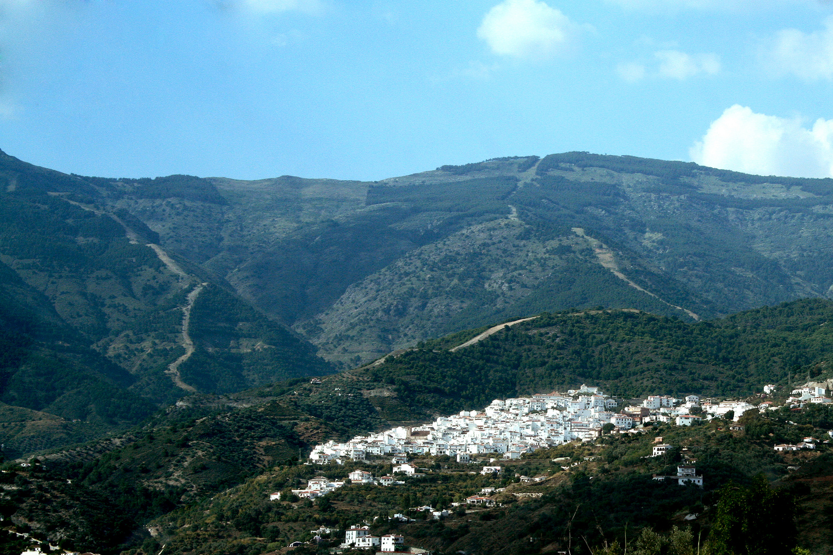 Canillas de Albaida