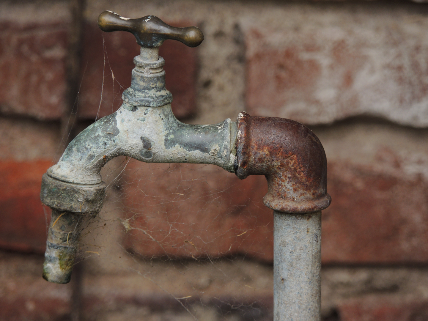 Canillita Imagen & Foto arte y cultura, motivos Fotos de