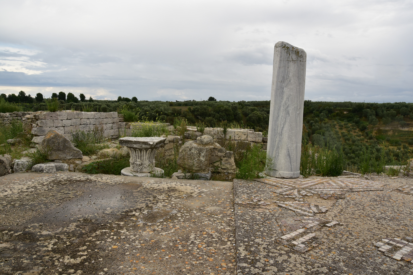 CANNE DELLA BATTAGLIA