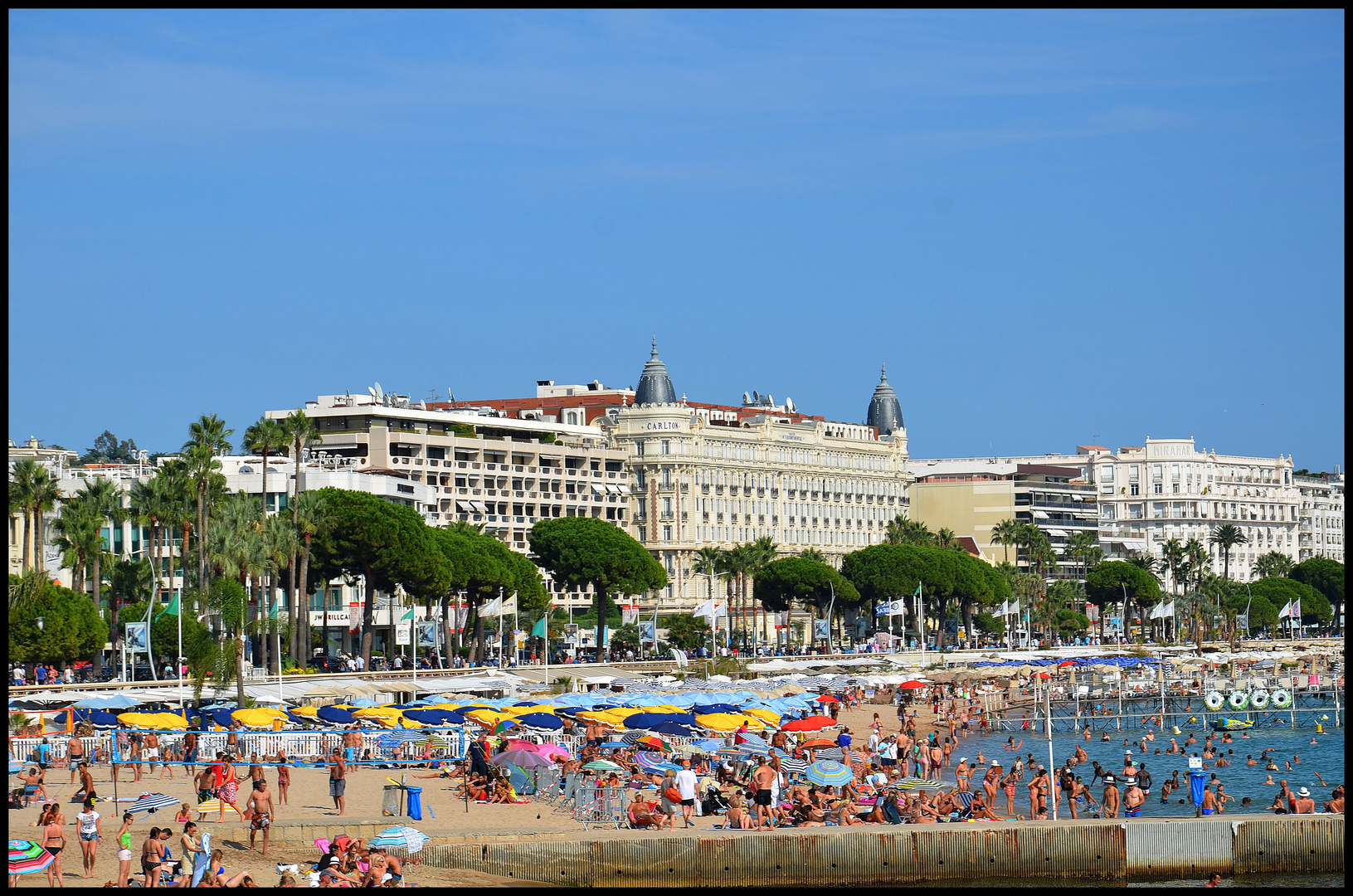 Cannes 3