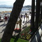 Cannes