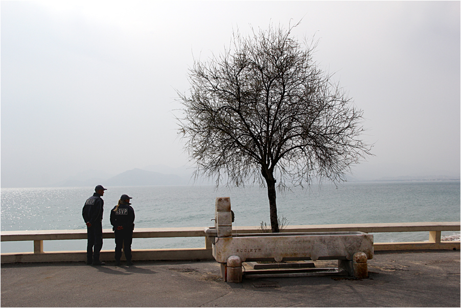 Cannes : l'abreuvoir