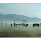 Cannon Beach