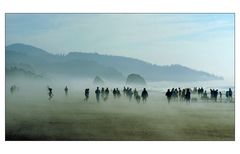 Cannon Beach