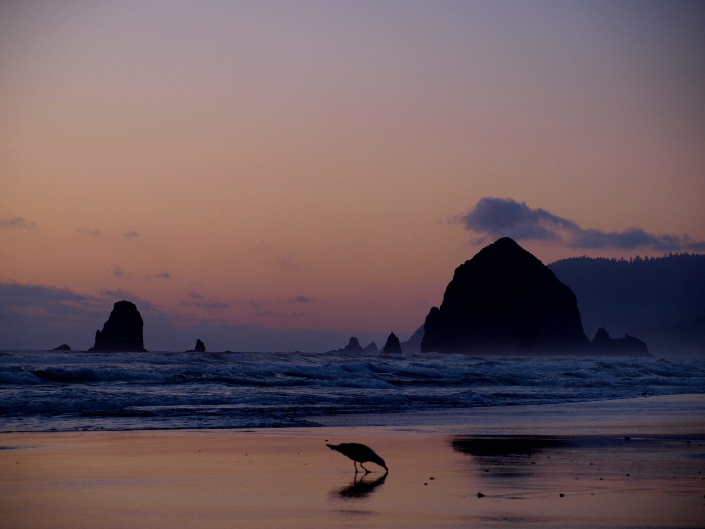 Cannon Beach