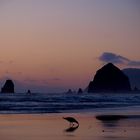 Cannon Beach