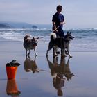 Cannon Beach