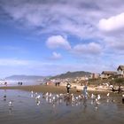 Cannon Beach - Oregon