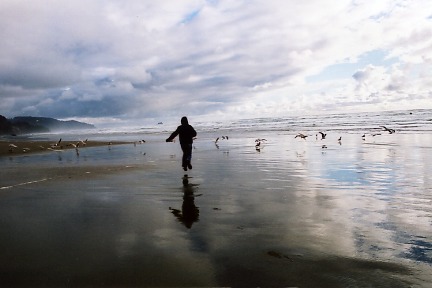 cannon beach, Oregon USA