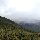 Cannon Mountain