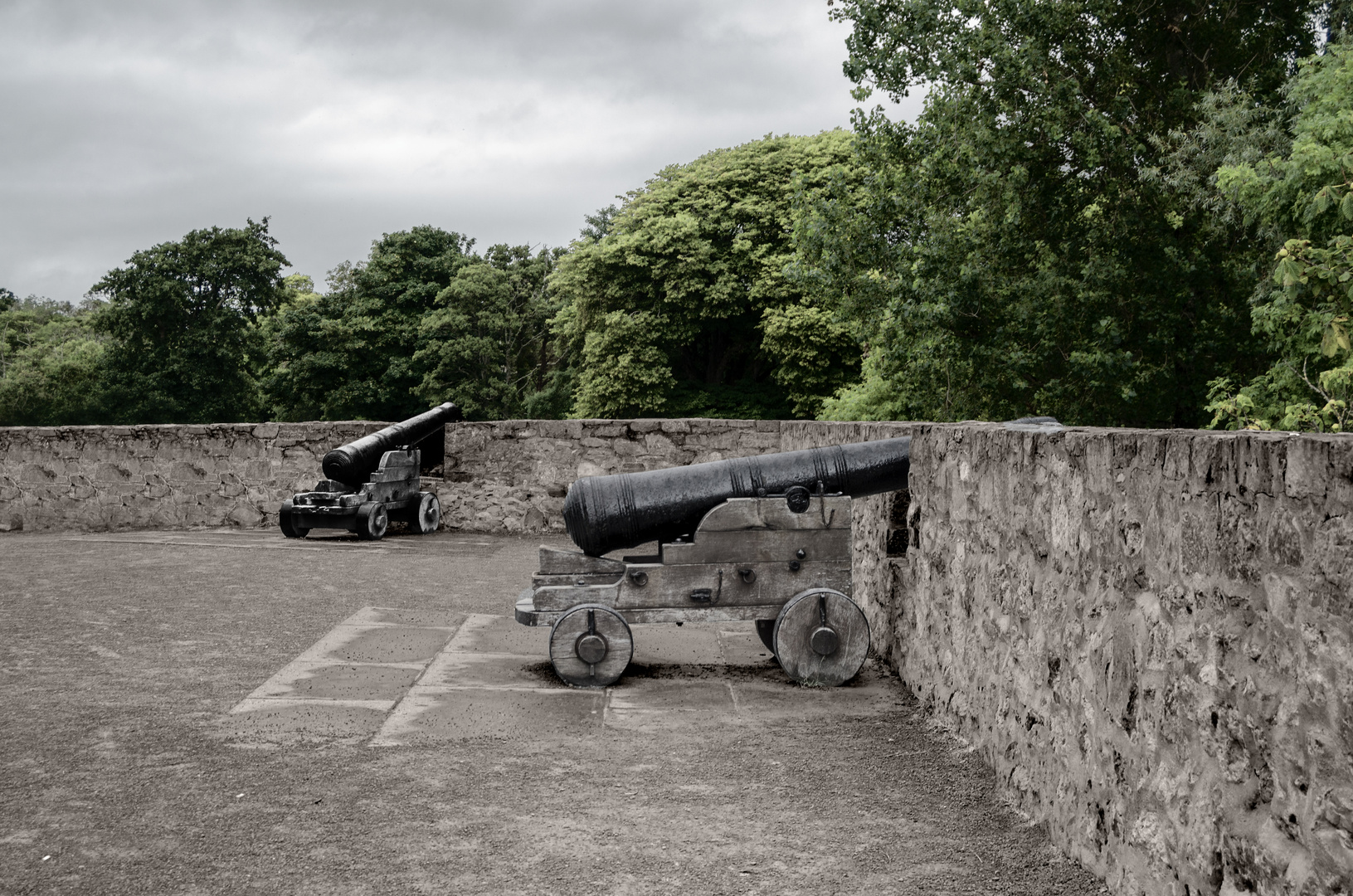 ... cannons and the trees ...