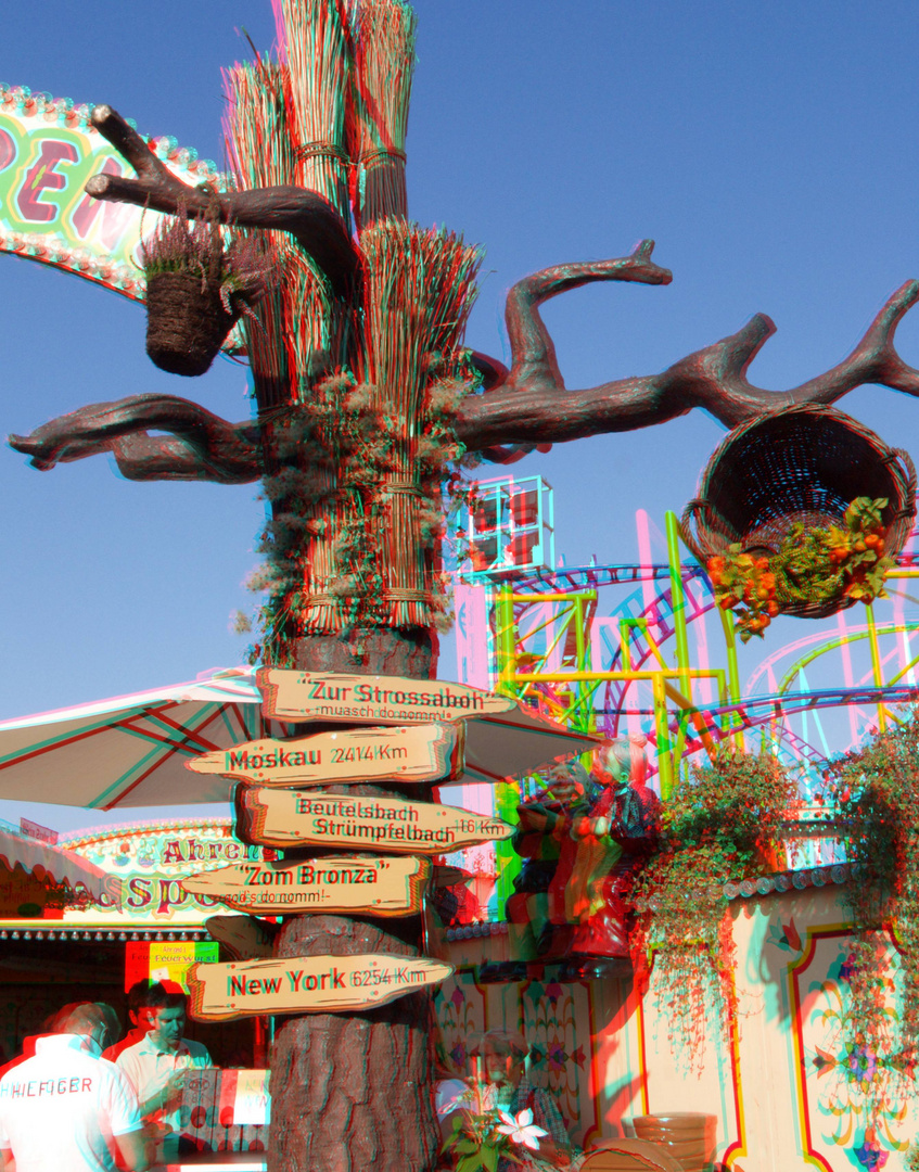 Cannstatter Wasen, Wegweiser Foto & Bild | stereoskopische ...