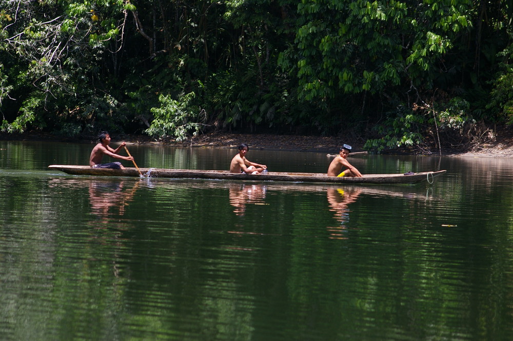 canoa amazonas