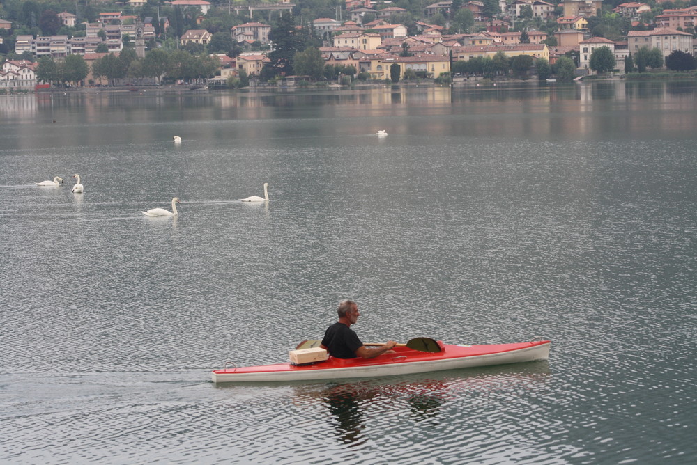 canoa e cigni