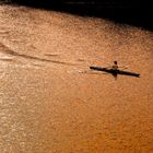 Canoa sull' Arno