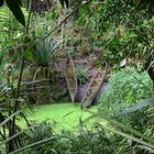 Canoe in Rainforest HDR