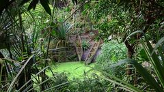 Canoe in Rainforest HDR