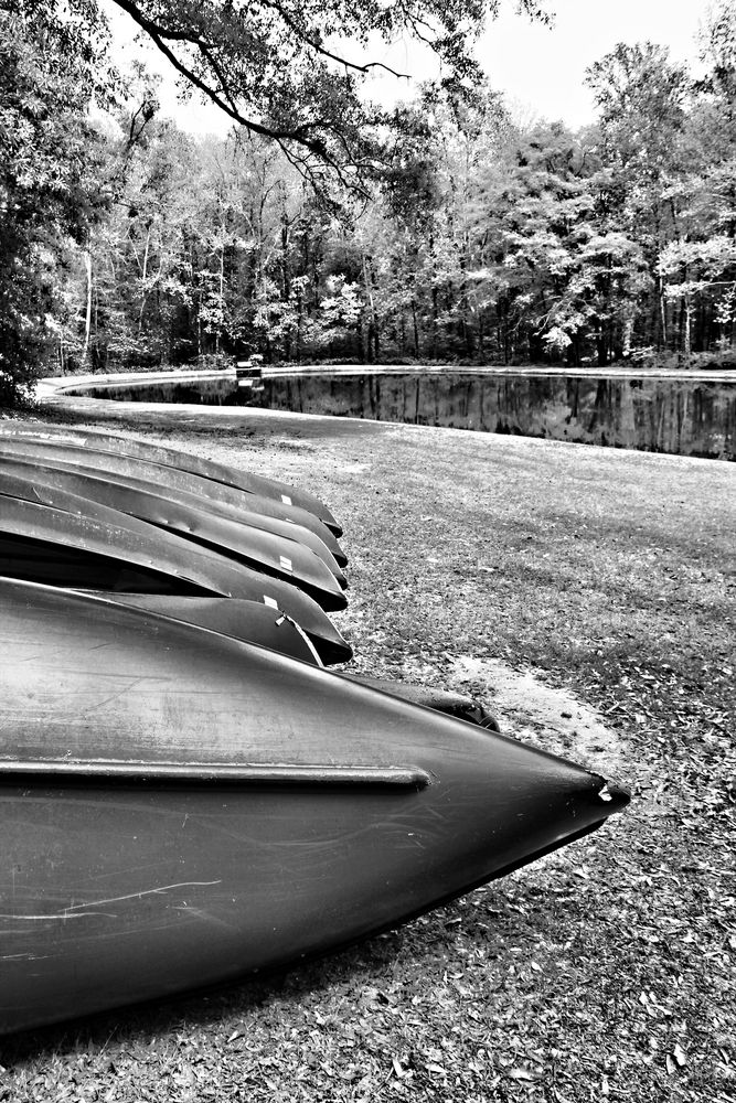 Canoes at Rest by Greg Sharpe 