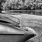 Canoes at Rest