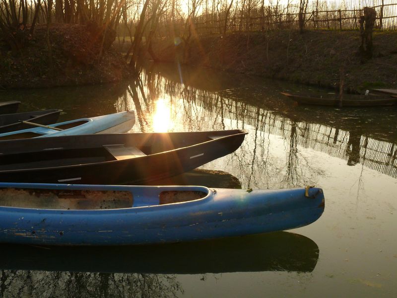 canoés du marais