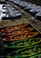 Canoës et petits bateaux 