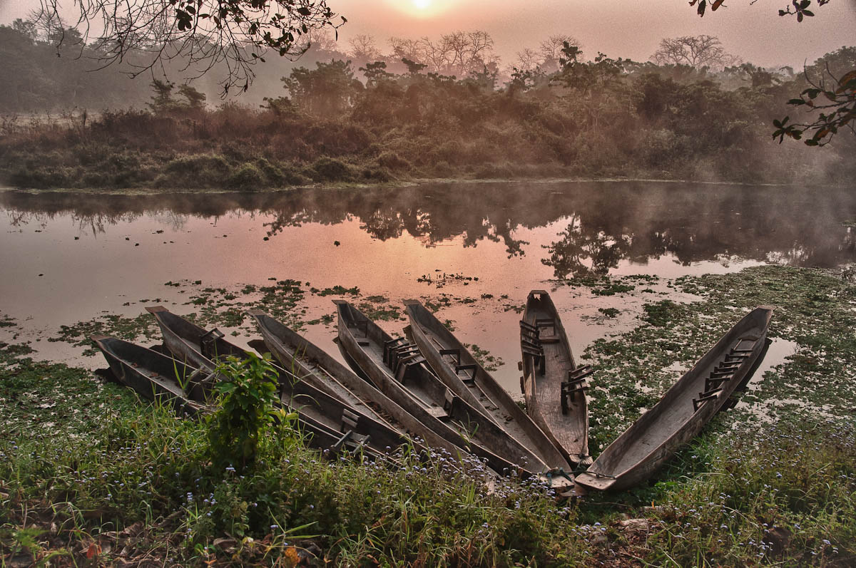 Canoes in the Chitwan National Park, Nepal