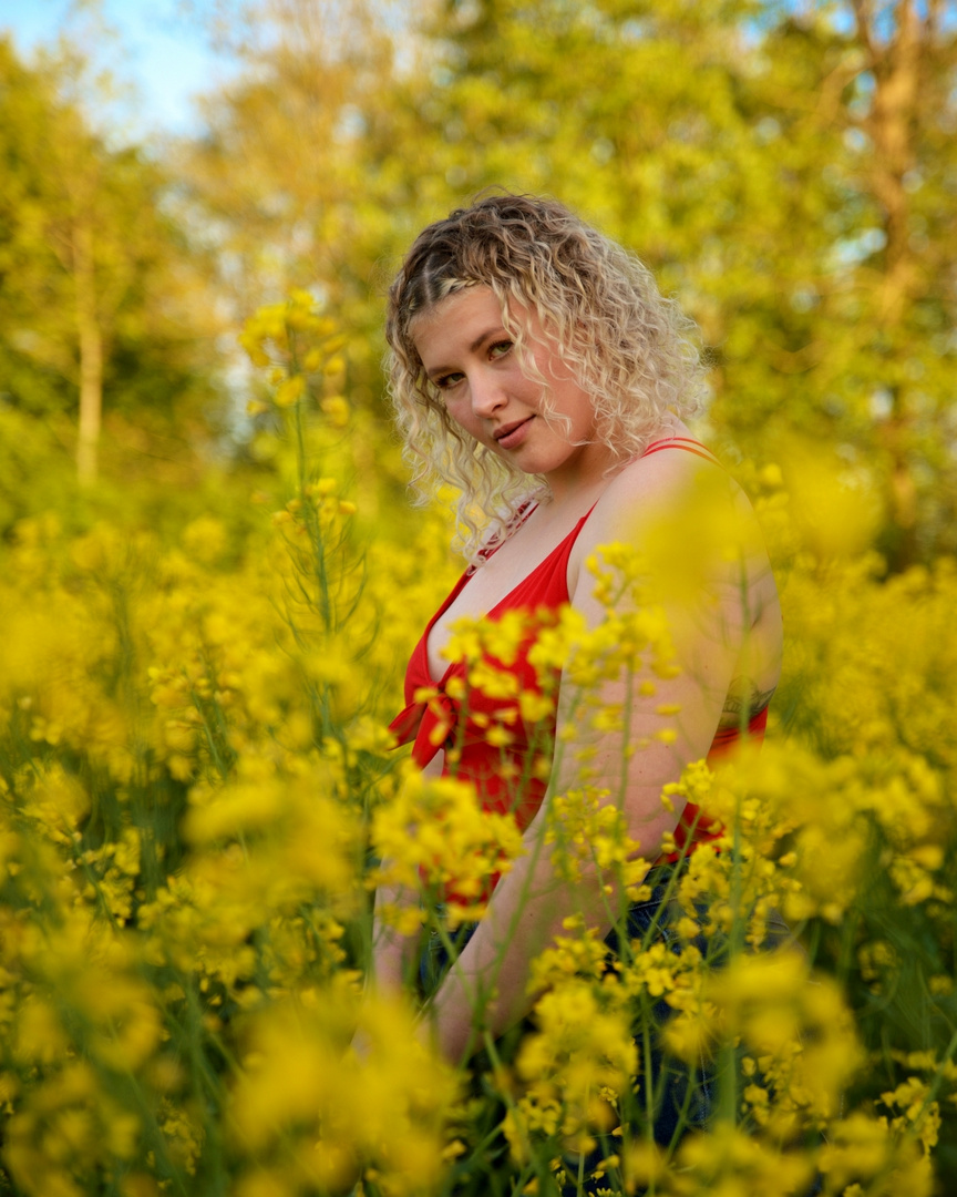 Canola fields