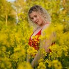 Canola fields