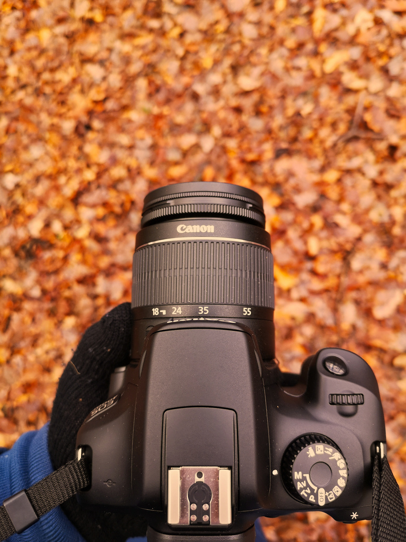 Canon EOS 4000D