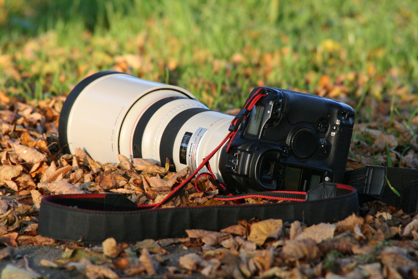 Canon Eos in Herbstfeeling...