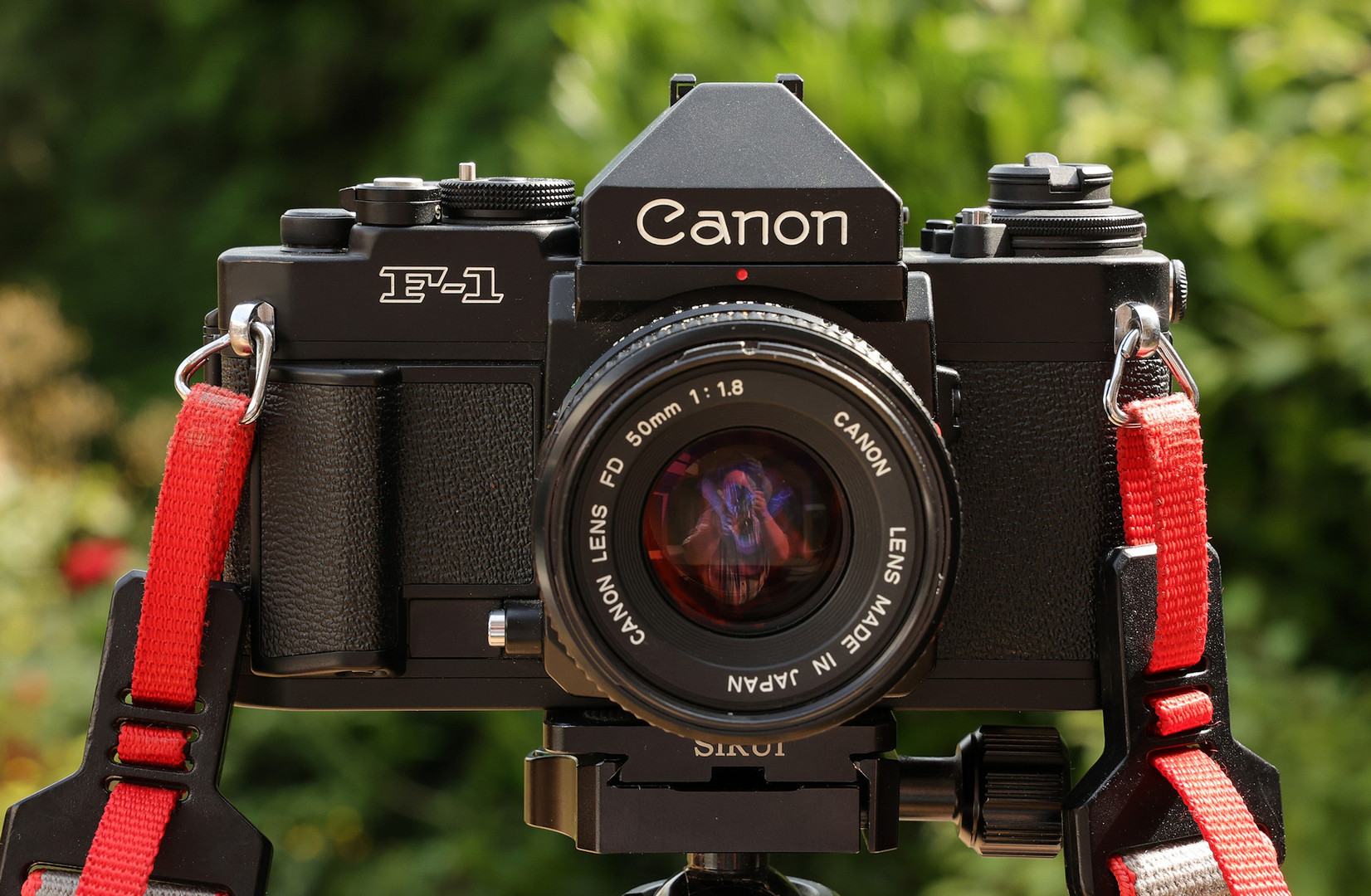 Canon F-1 new