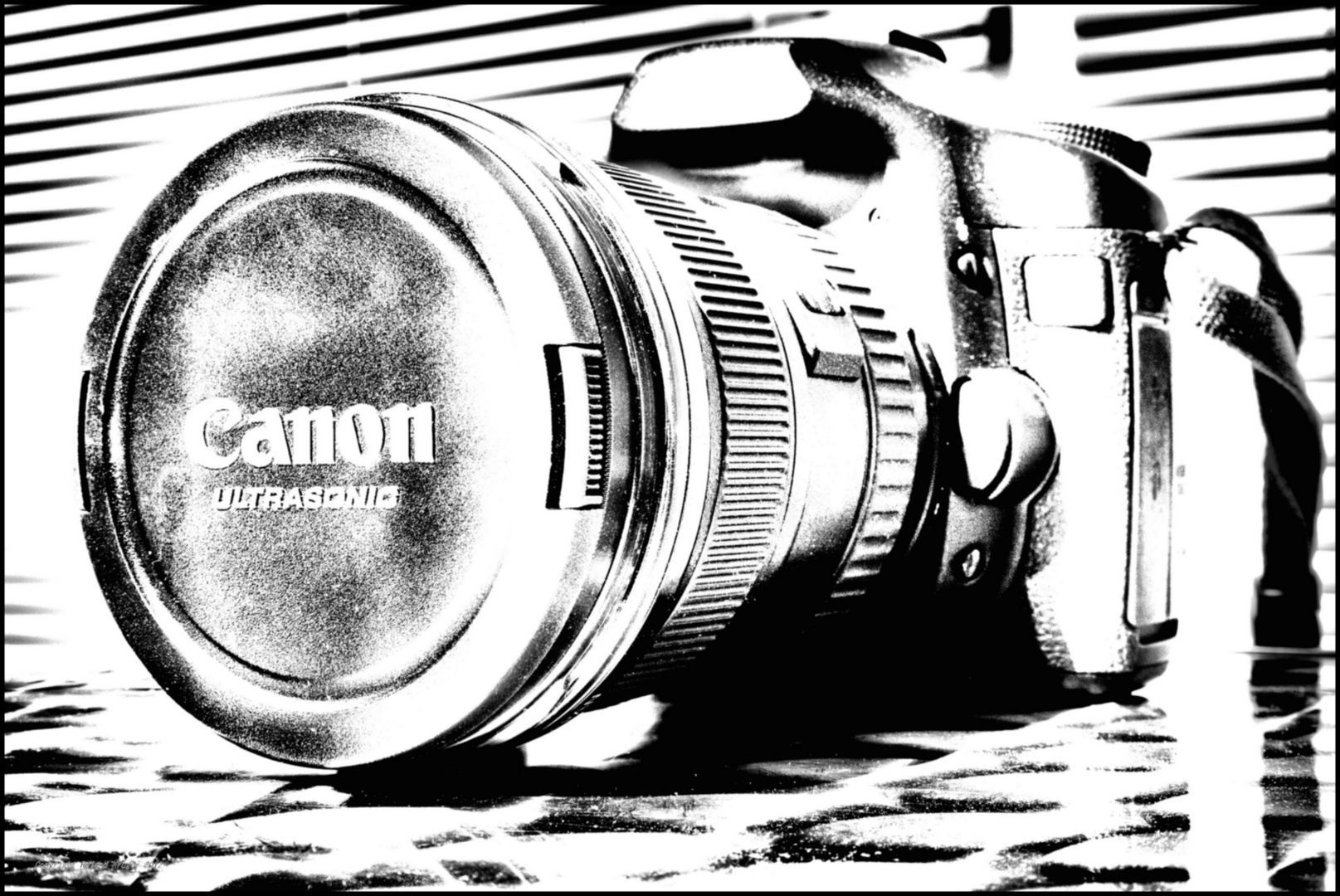 Canon