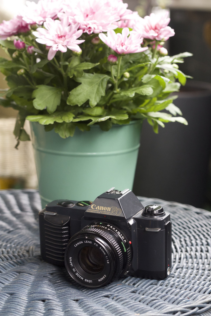 Canon T50 mit FD 50 1.8