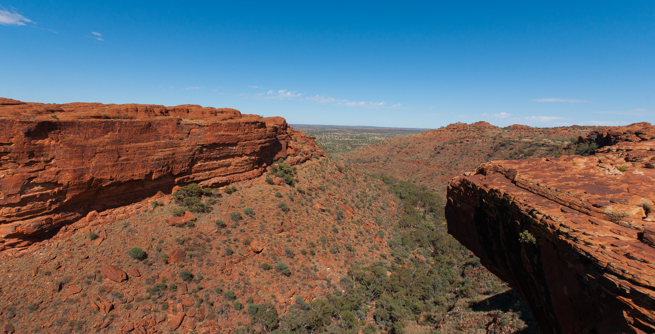 canopy at kings canyon...