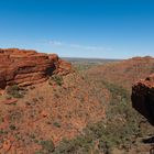 canopy at kings canyon...