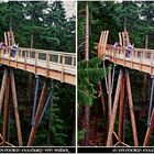 Canopy Trail 3D