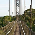 Canopy Walk