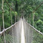 Canopy Walk in Ghana/Kakum