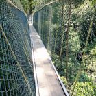 Canopy Walk in Taman Negara